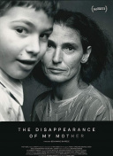 魅影骑士的官方更新与未来发展展望